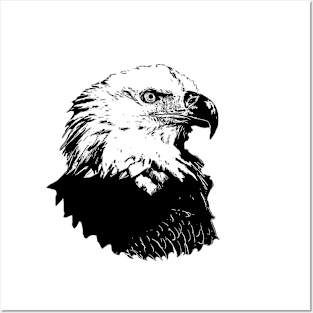 Eagle portrait 2 Posters and Art